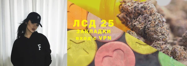 трава Аркадак