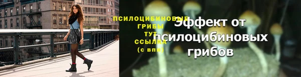 мет Армянск